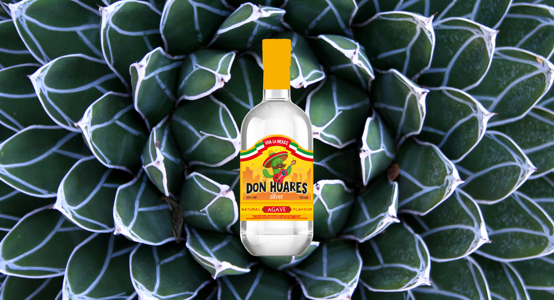 coming-soon-agave img